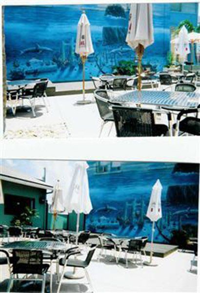 Black Palm - St. Pete Beach