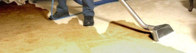 Carpet wet cleaning