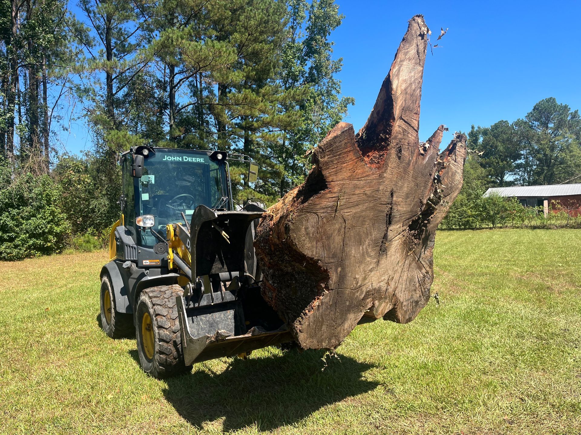 A tractor is carrying a large tree stump in a field.