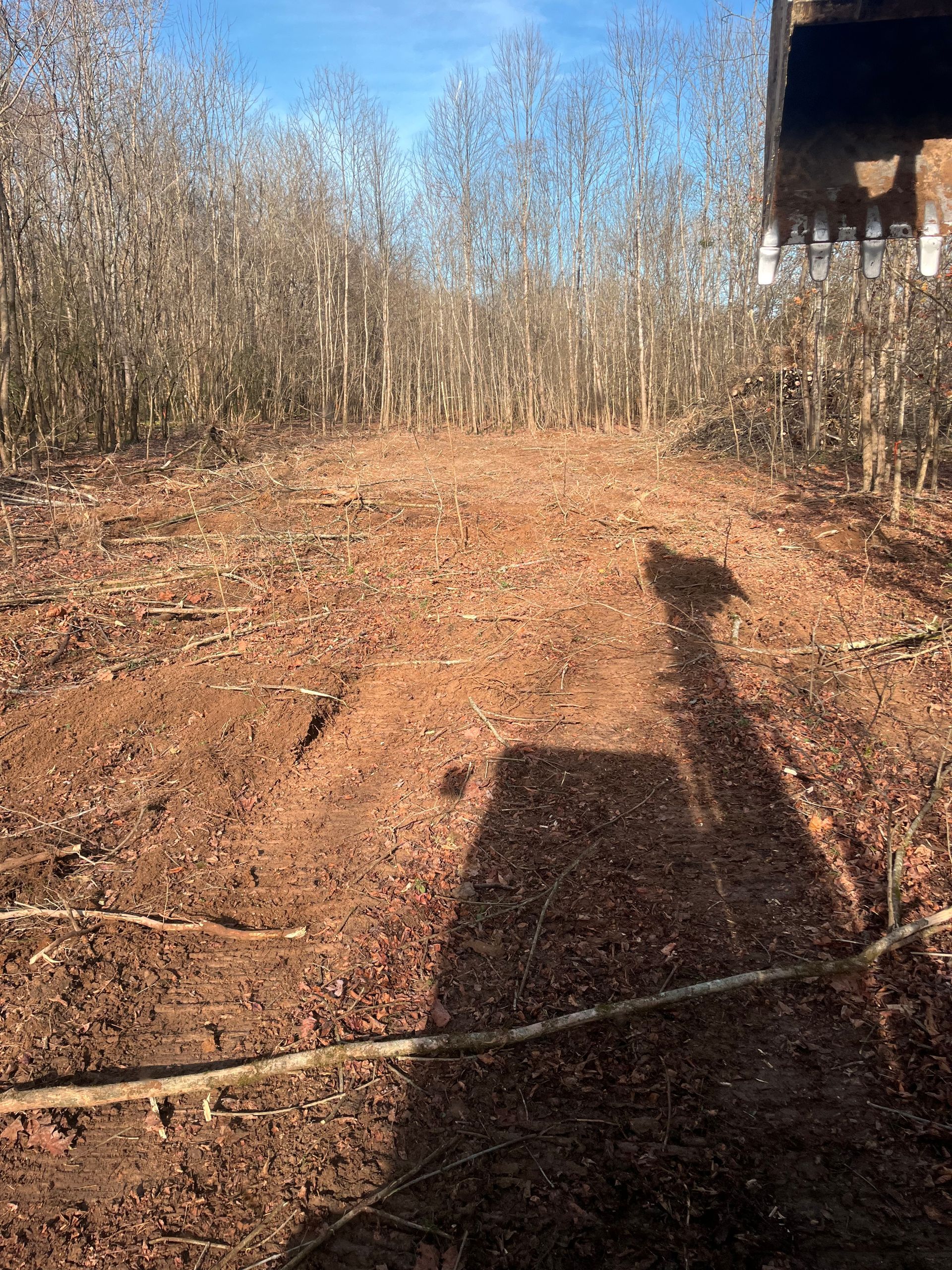 A person is standing in the middle of a dirt field with trees in the background.
