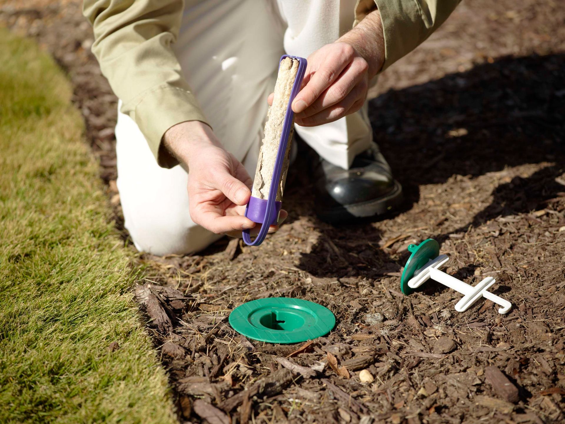 Person placing bait into a green ant bait station in a garden bed.