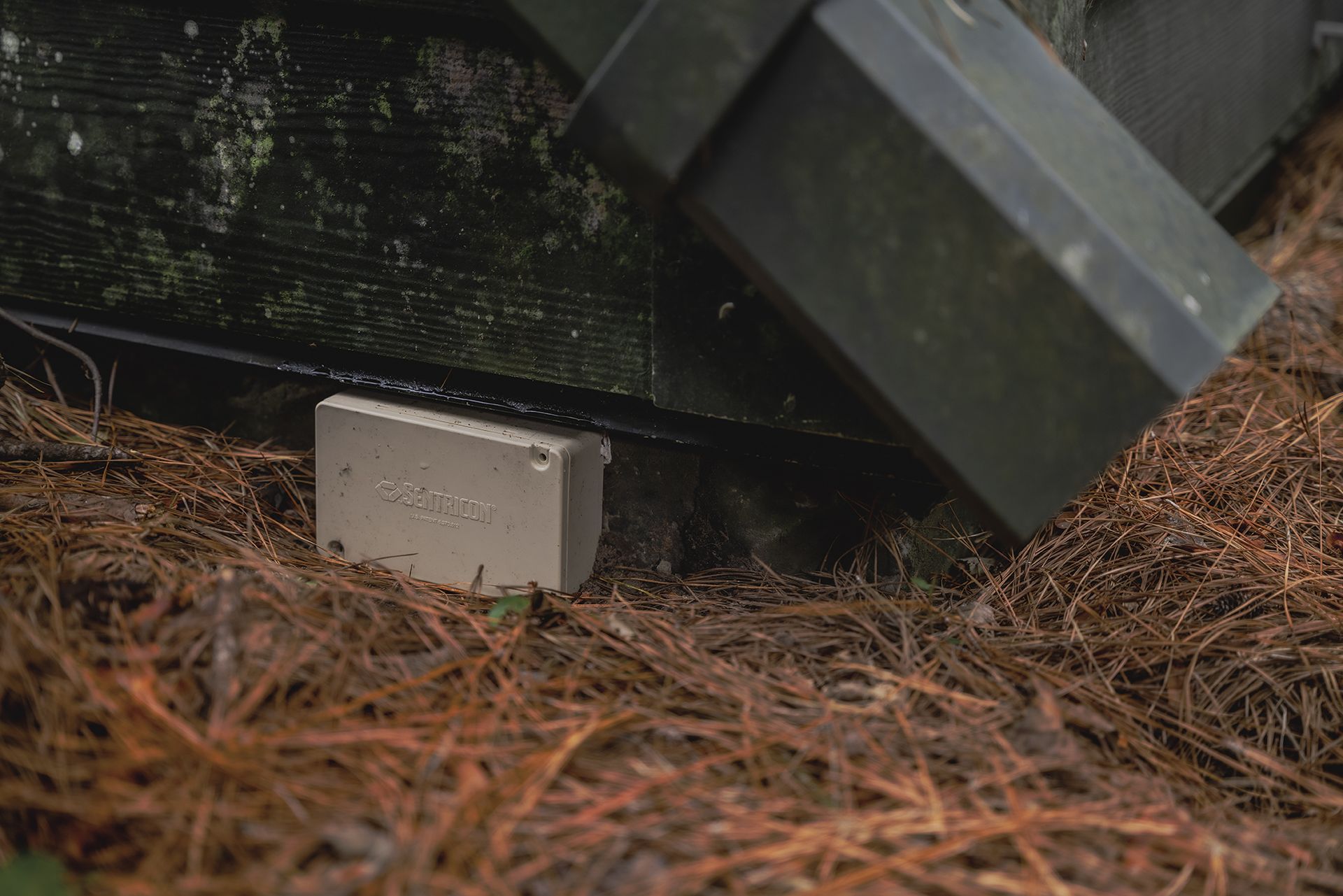 Rectangular, beige box on ground, next to a dark gutter and wooden structure, surrounded by brown pine needles.