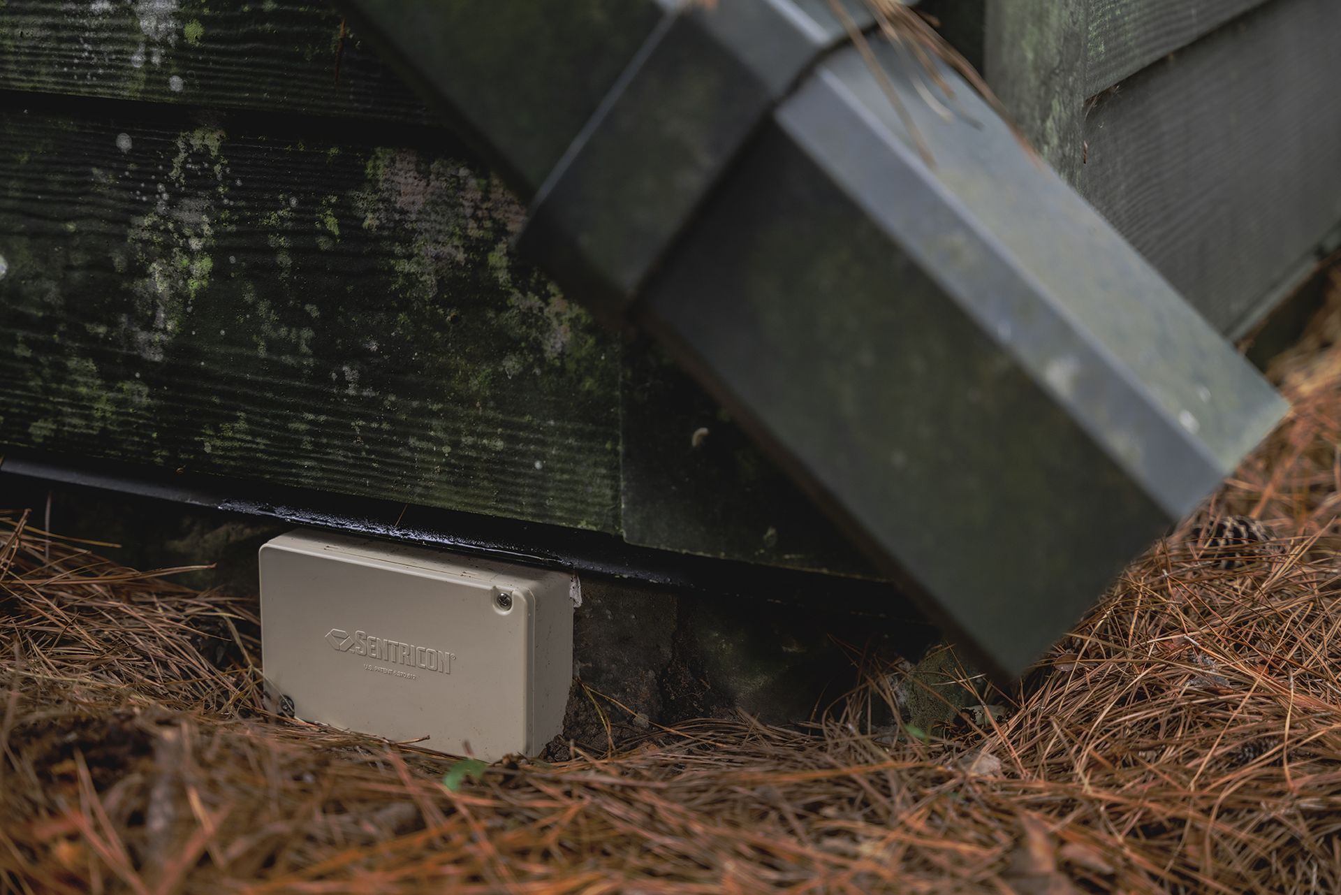 Tan box on ground next to a gutter. Pine needles surround it. Building siding in background.