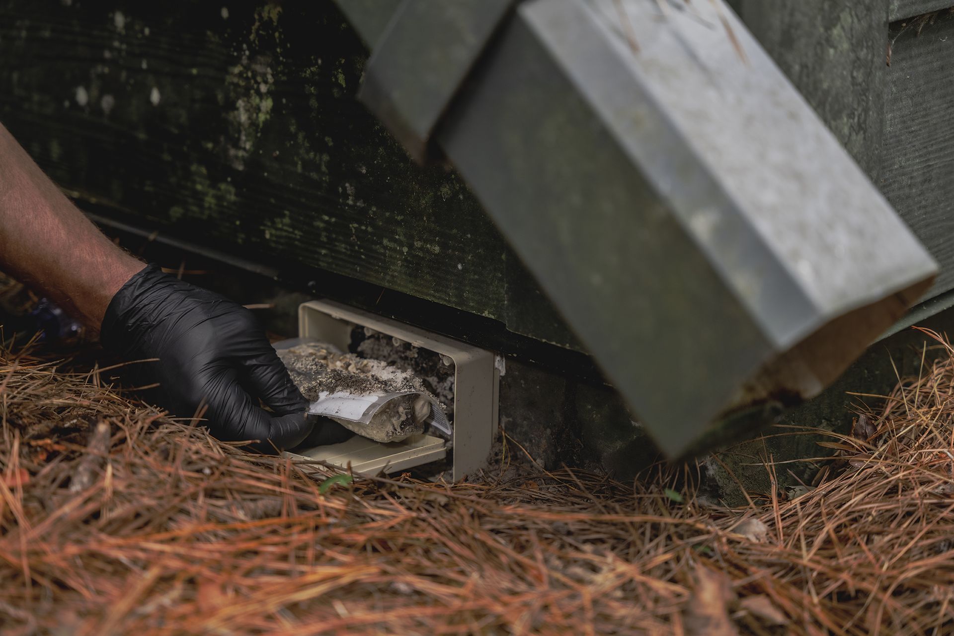 Hand in black glove removes debris from a drain spout near a building's foundation.