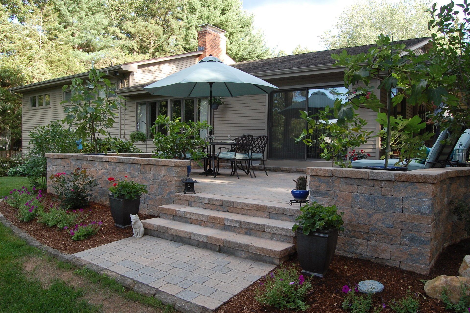 Christmas Theme plants