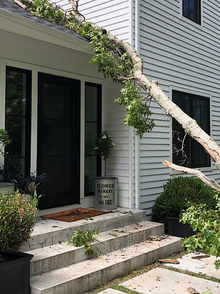 Mark Daniels Tree Service Tree Removal Pruning East Hampton NY   04 Home Gallery 1920w 