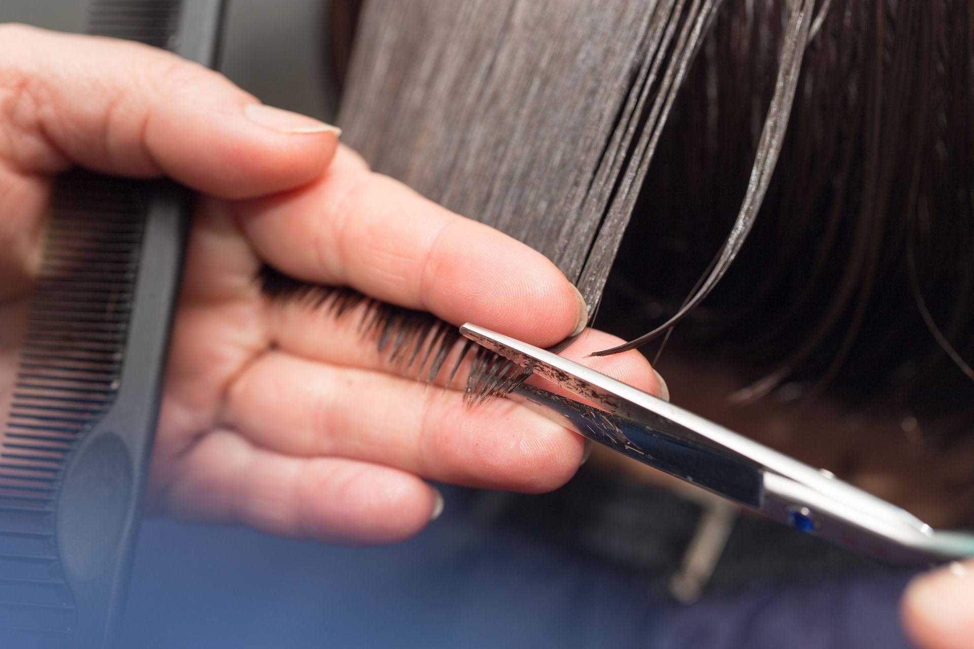 hair school