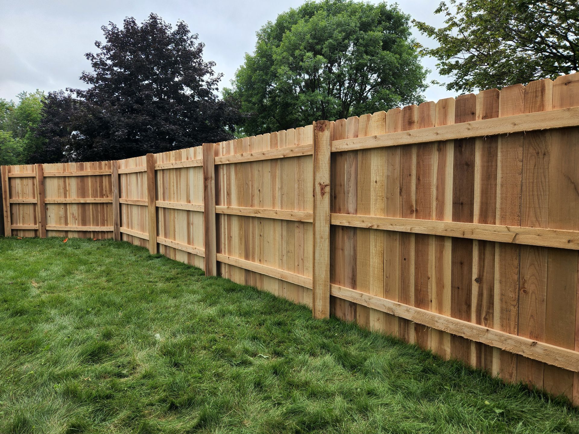 Wooden fence