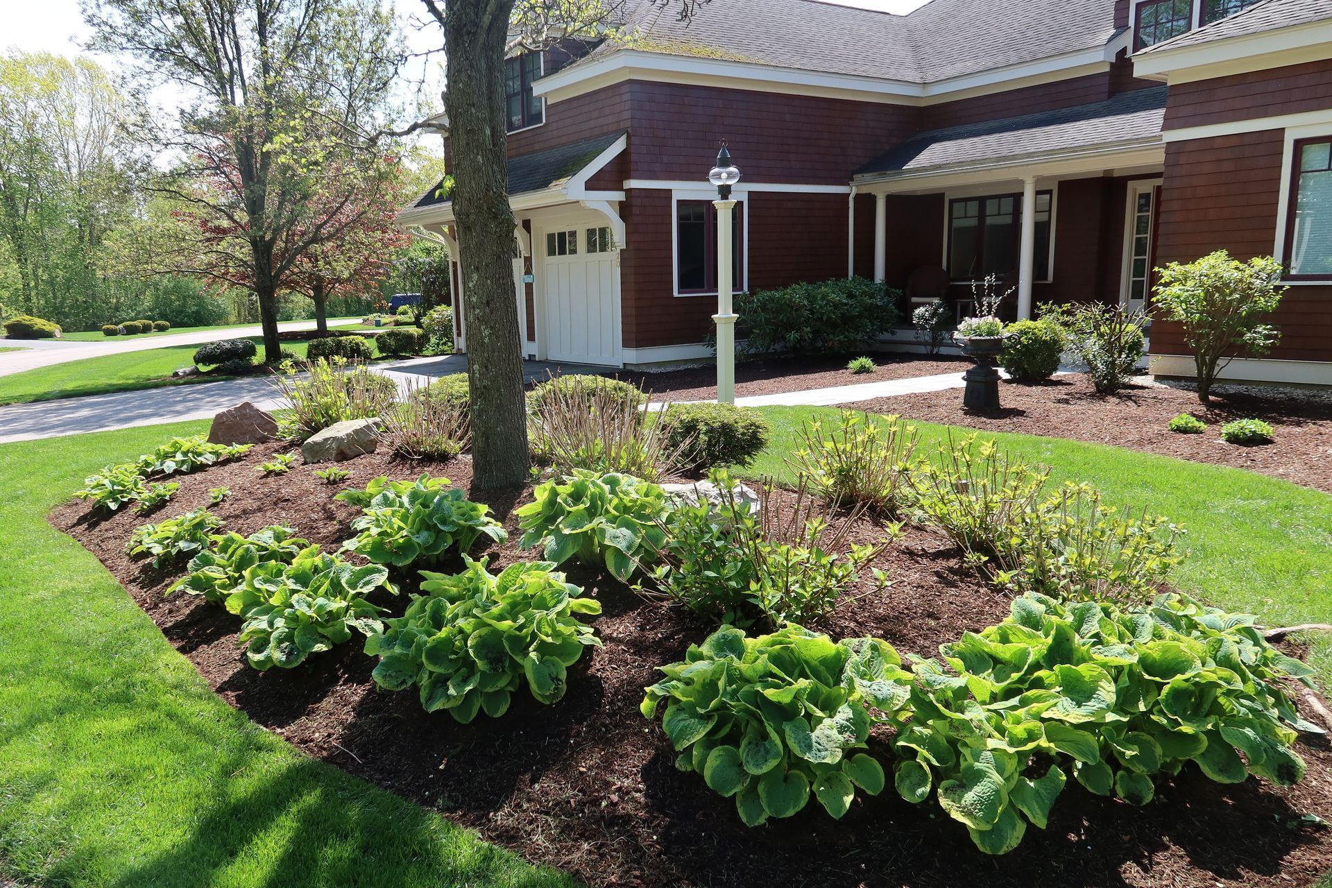 A house with a lot of plants in front of it.