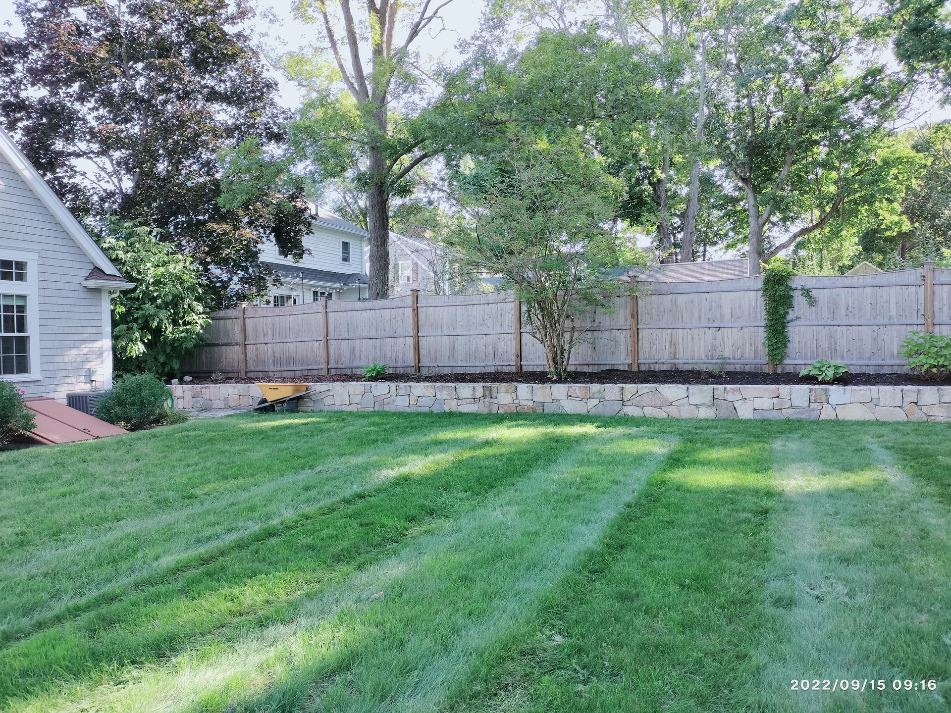 A backyard with a wooden fence and a lush green lawn.