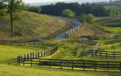 A wooden fence surrounds a grassy field with a road going through it.