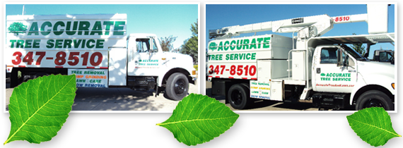 Accurate Tree Service &  Lawn Care - Madison, WI - Service Vehicles