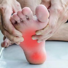 Pine Tree Chiropractic
