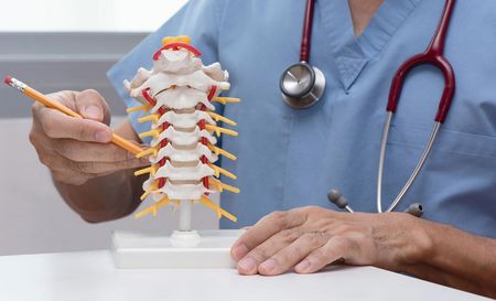 About Pine Tree Chiropractic