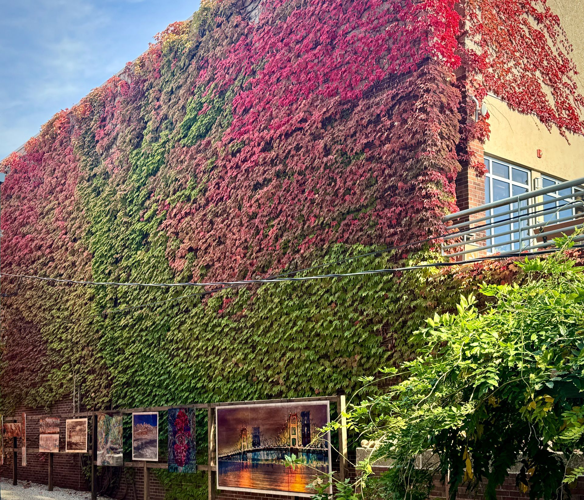 A building with a wall of leaves and flowers on it.