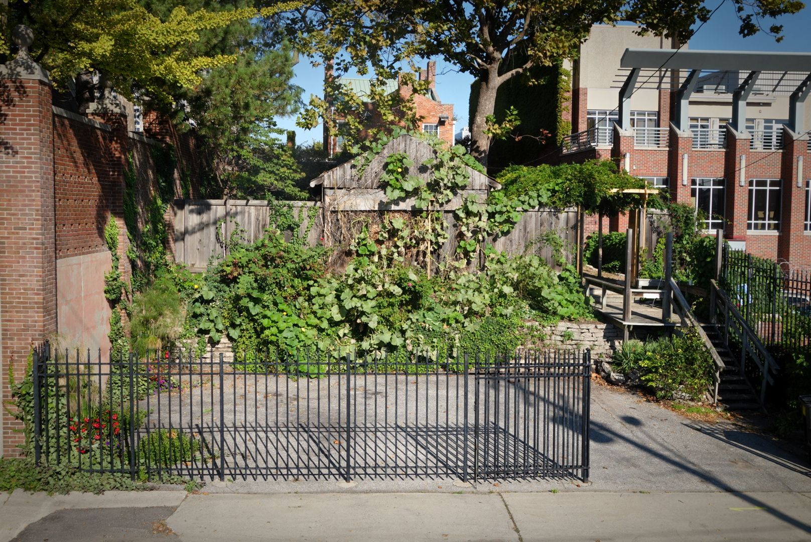 A fence with a lot of plants behind it