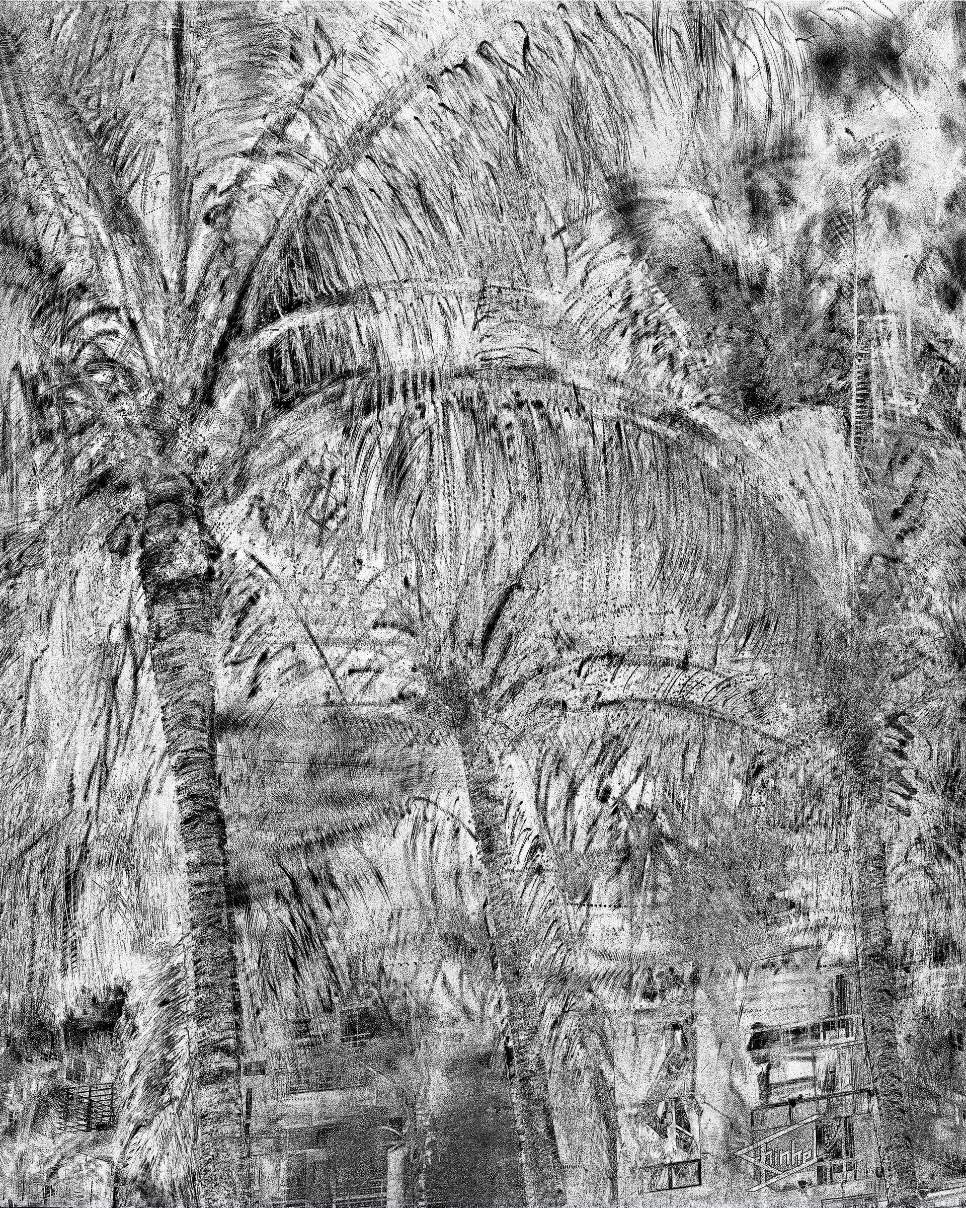 A black and white photo of a tree trunk.