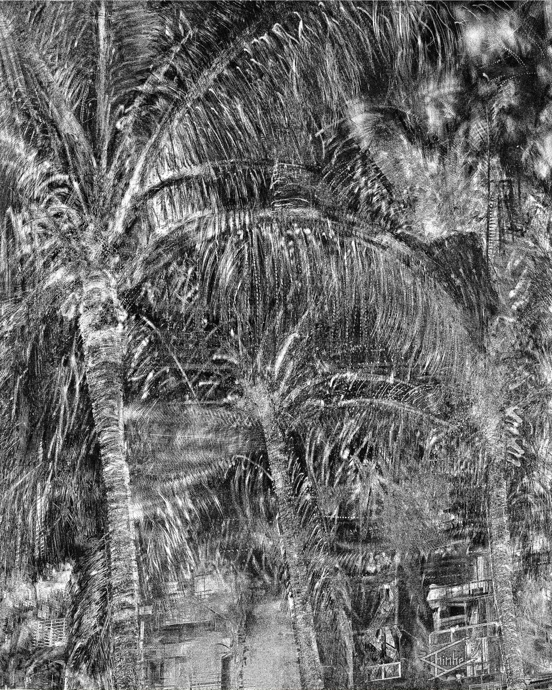 It is a black and white photo of a tree trunk.