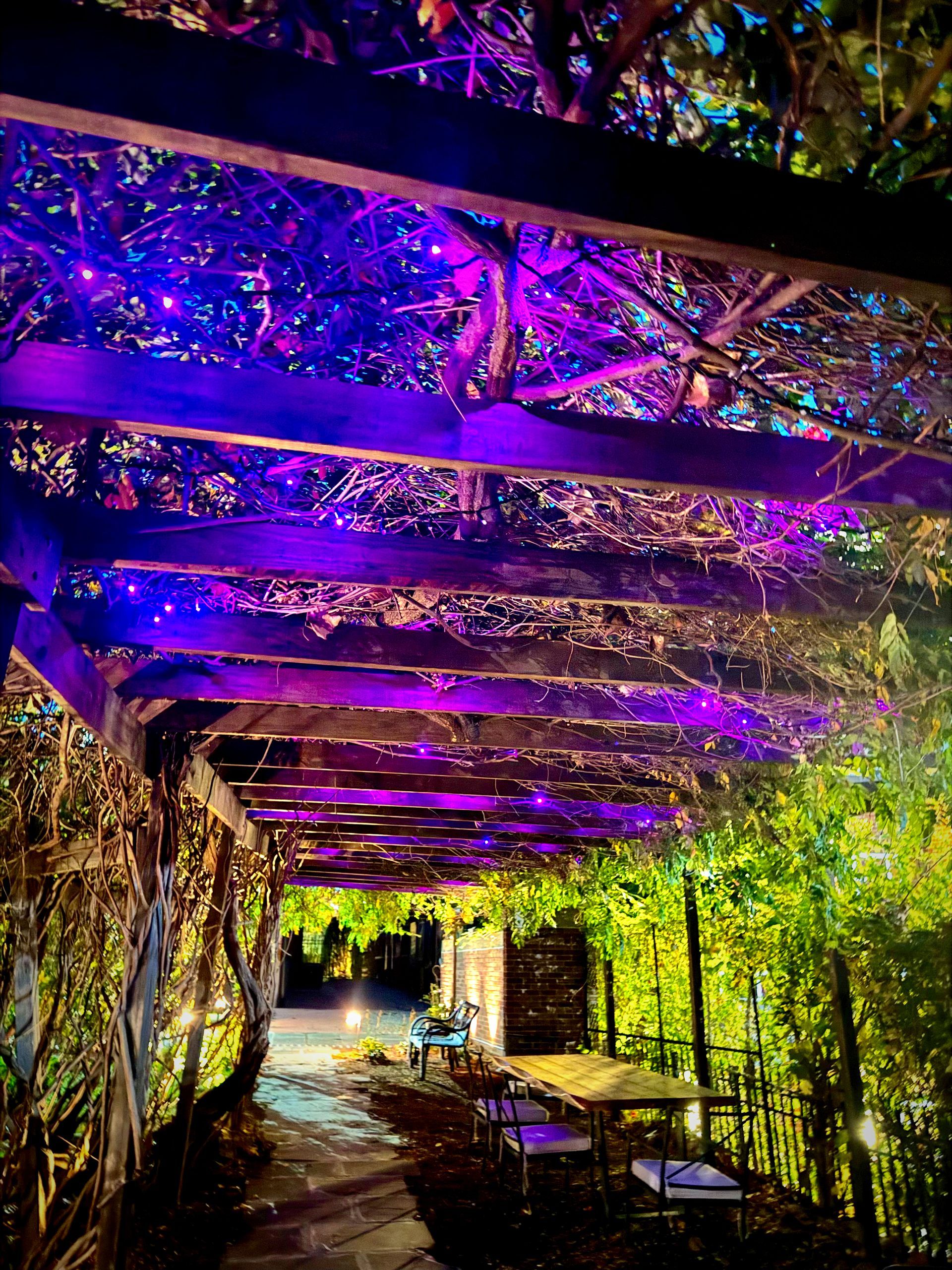 A wooden pergola with purple lights hanging from the ceiling.