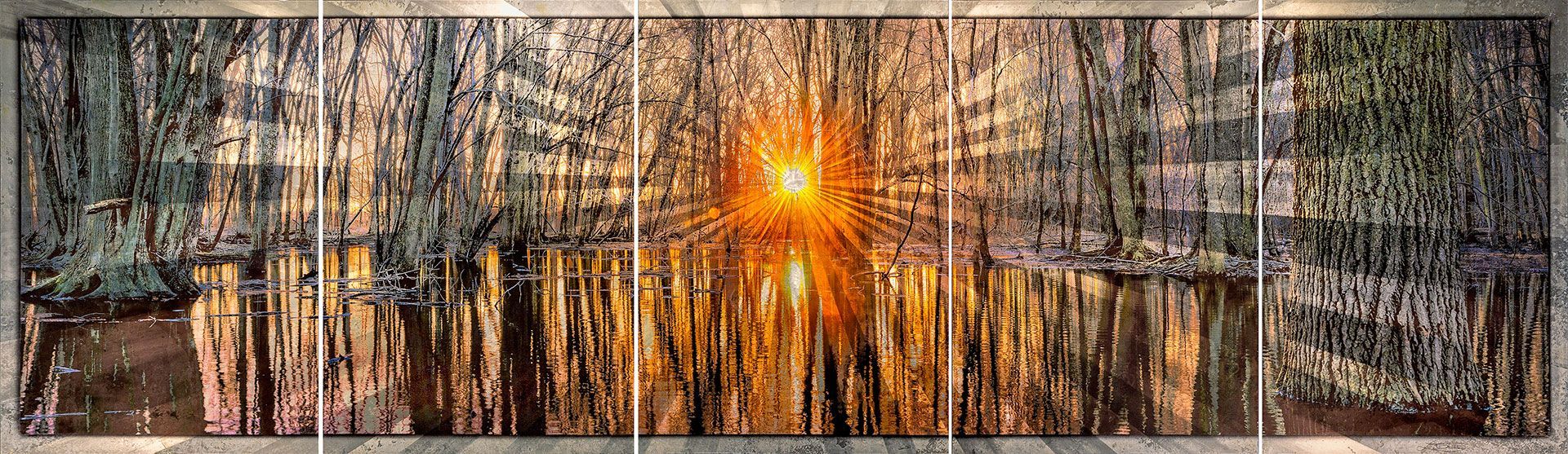 Through the Other Trees