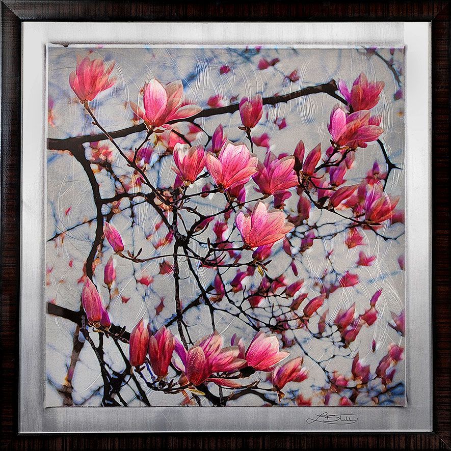 A framed picture of pink flowers on a tree branch