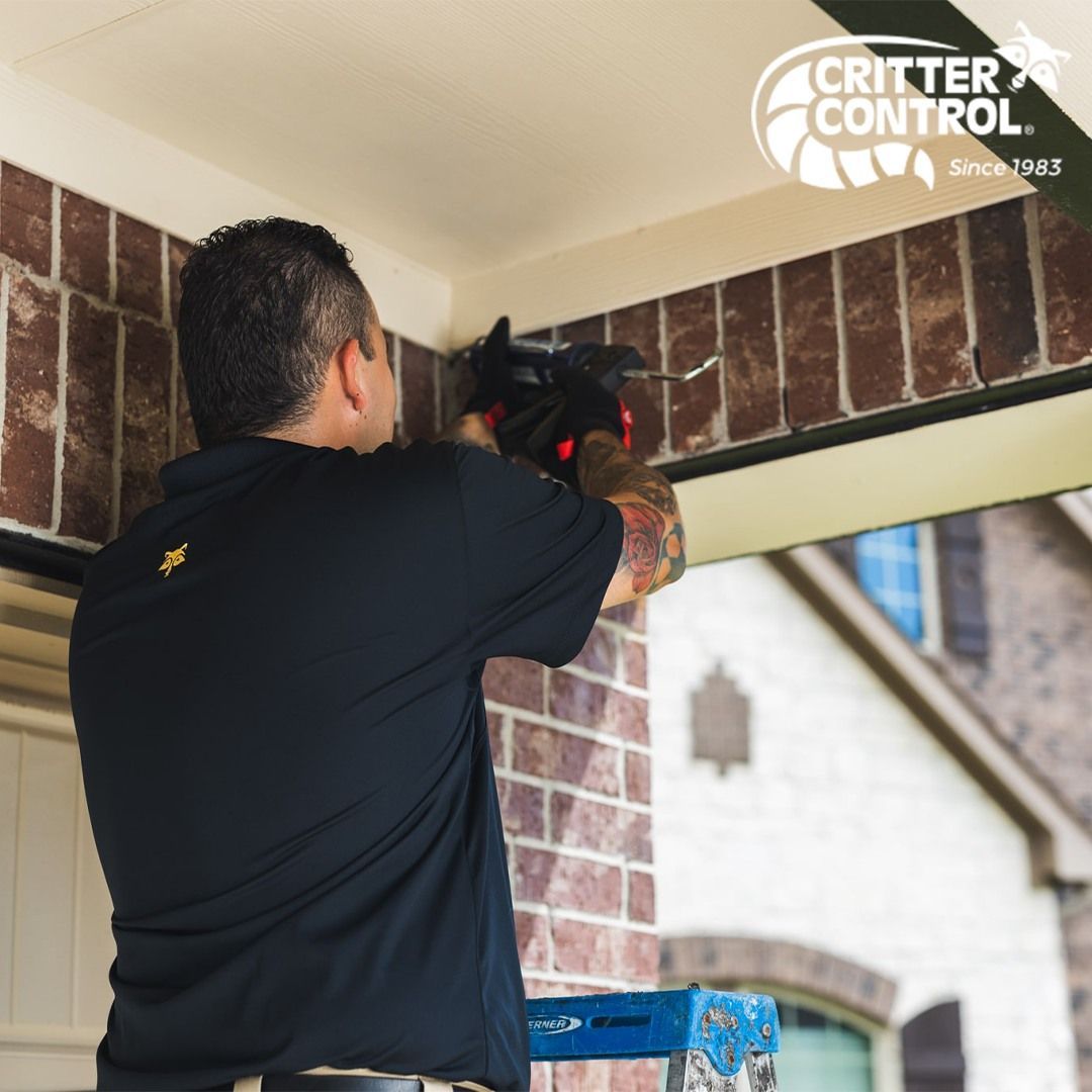 A man is working on a brick wall with a critter control logo in the background
