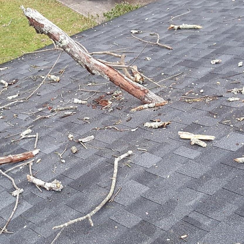 A tree branch is laying on top of a roof