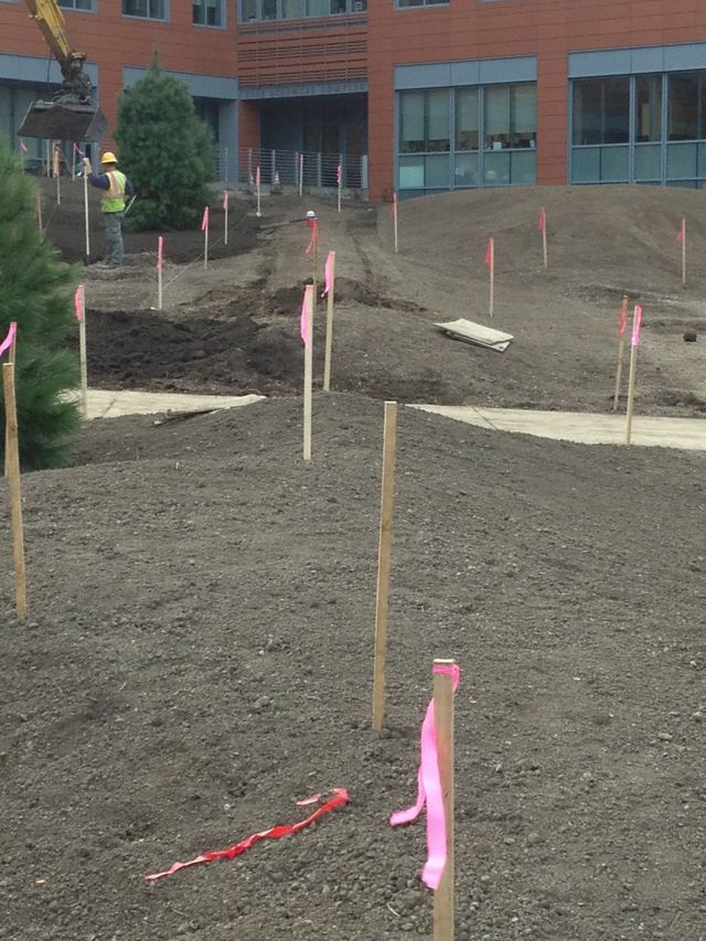a construction site with pink ribbons on wooden poles