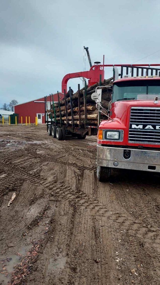 a red truck is carrying logs in a muddy field .