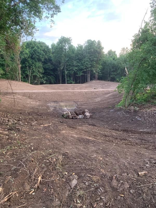 a dirt road going through a forest with trees in the background .