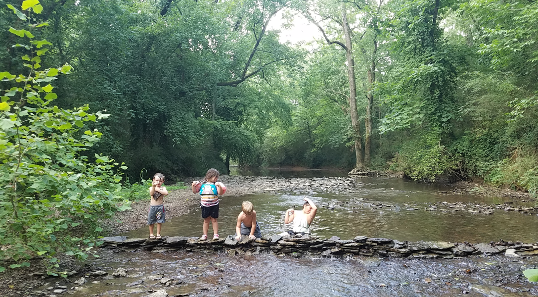 Four children stand in a shallow, rocky stream surrounded by lush green woods.