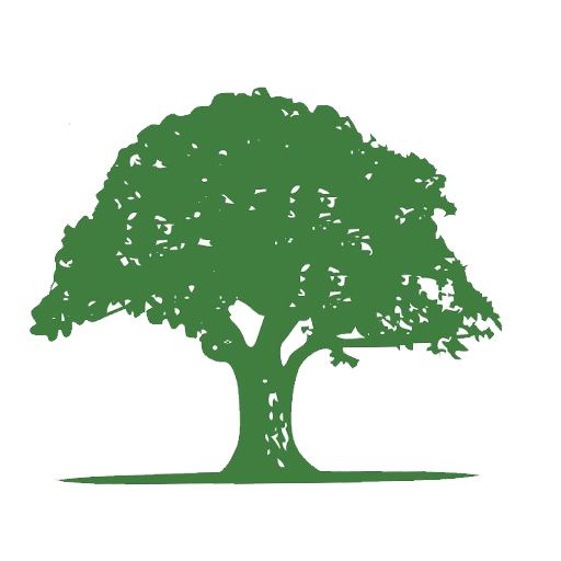 Green tree with a full canopy and a short, thick trunk.