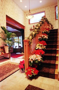 A staircase decorated for christmas with poinsettia flowers.
