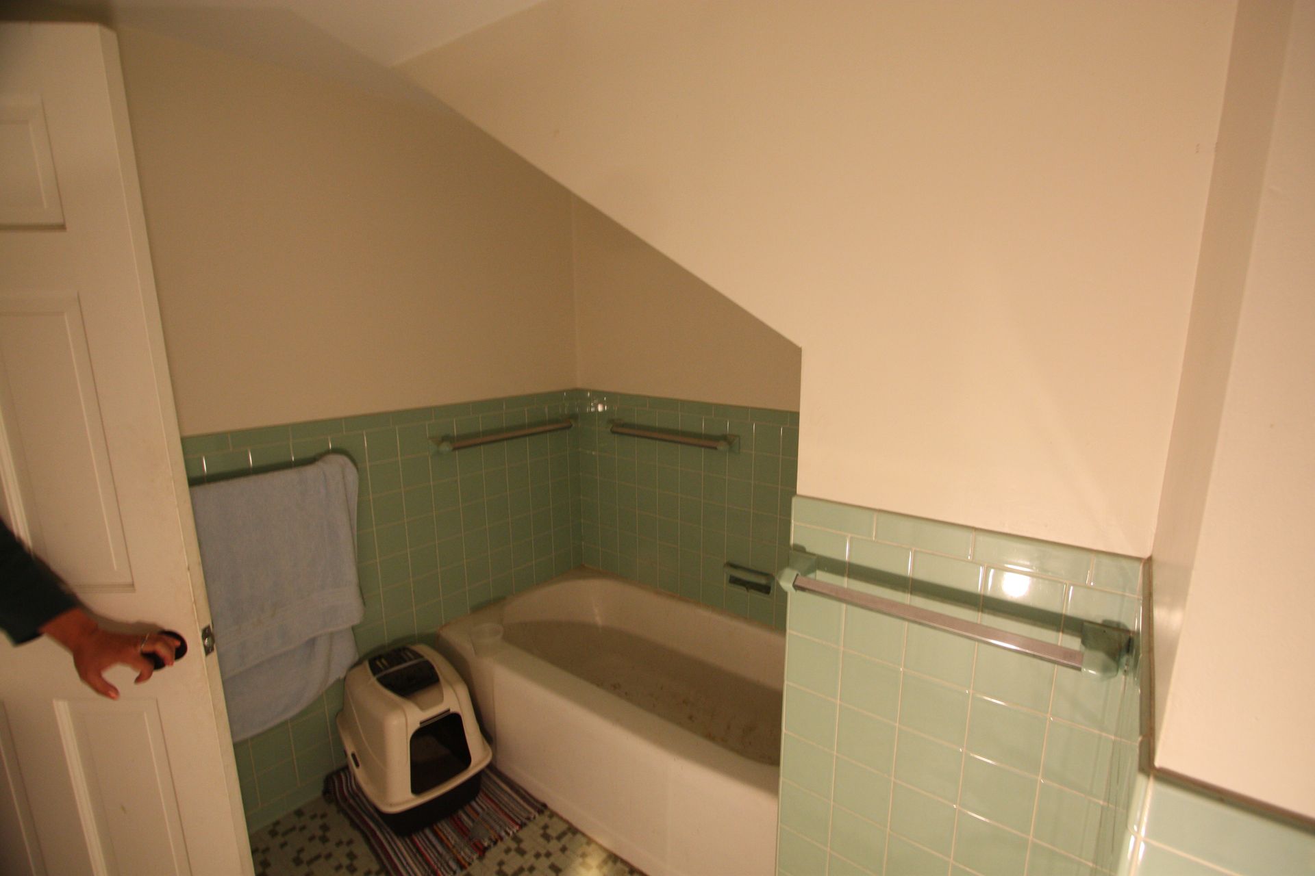 A bathroom with a bathtub and a cat litter box.