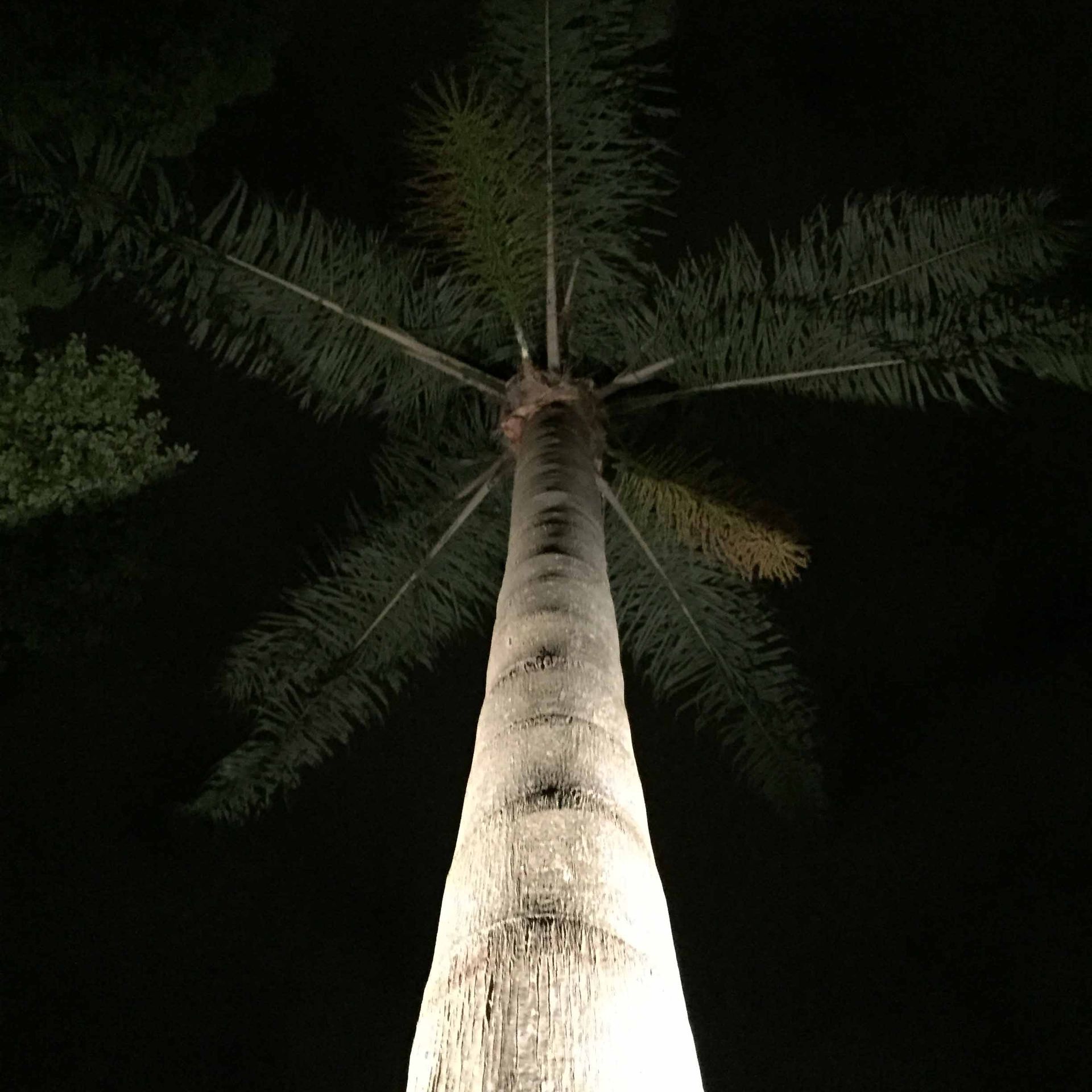 A tranquil lake with a fountain, townhouses in the background, and a blue sky.