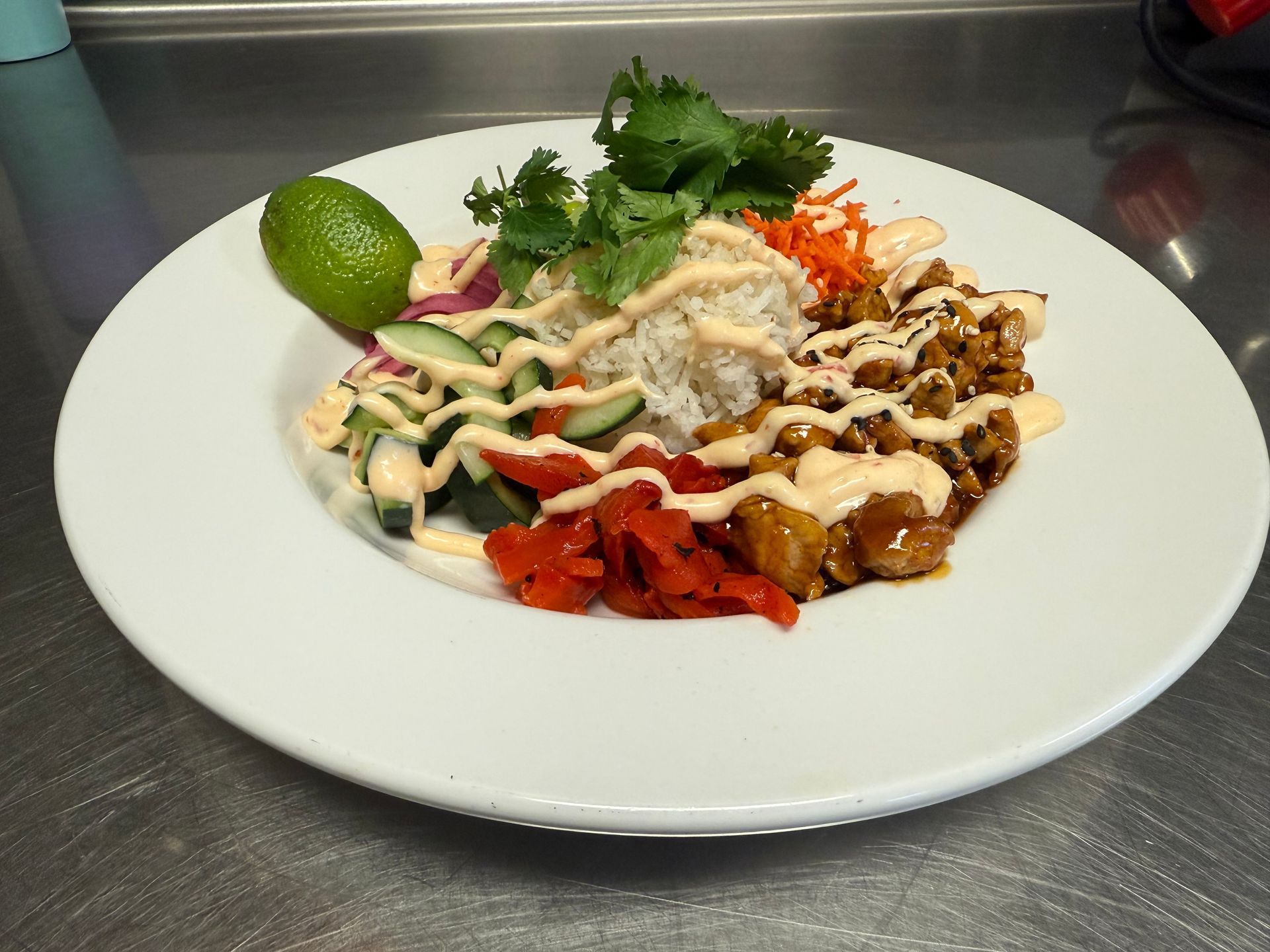 Bowl of food with rice, vegetables, chicken, and sauce on a white plate.