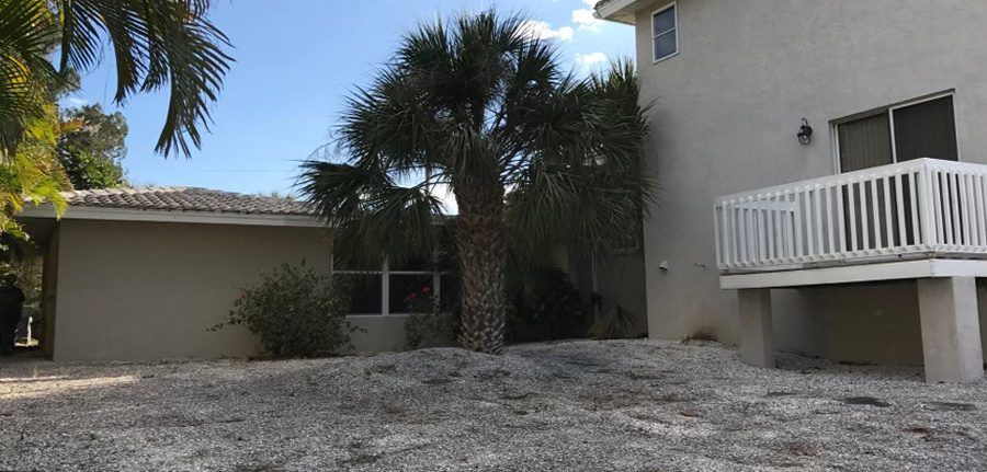 A house with a white deck and a palm tree in front of it.
