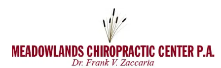 Meadowlands Chiropractic Center P. A. Logo