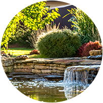 Beautiful landscaping