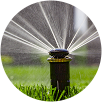 Lawn irrigation system