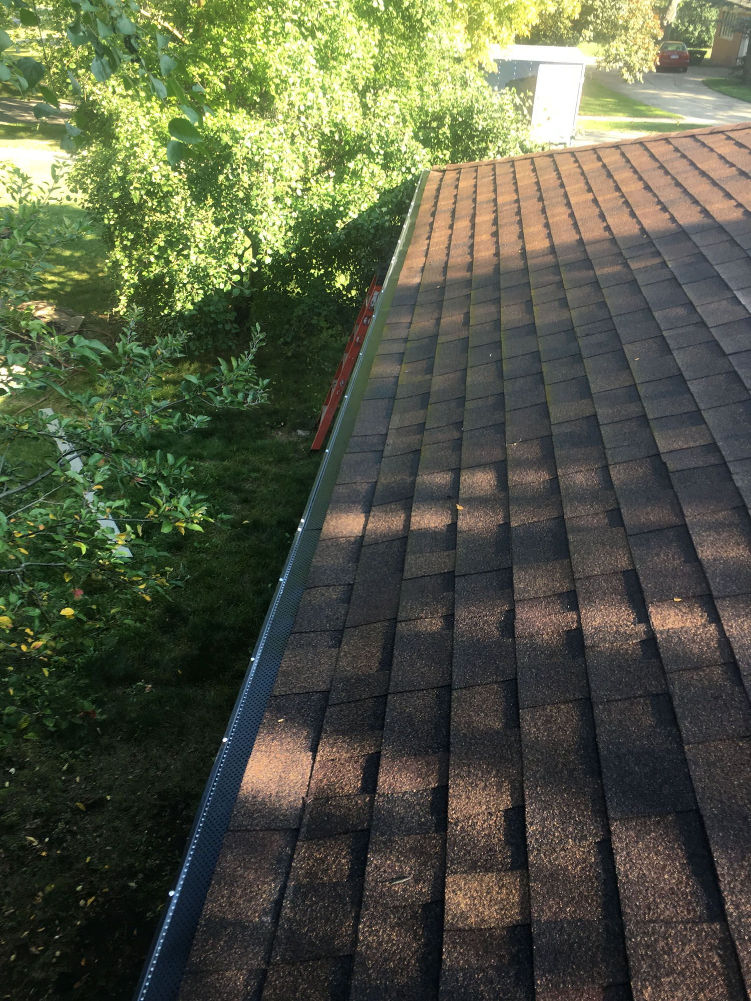 Rooftop with dark shingles and a black gutter; trees and grass in the background. Sunny outdoor setting.