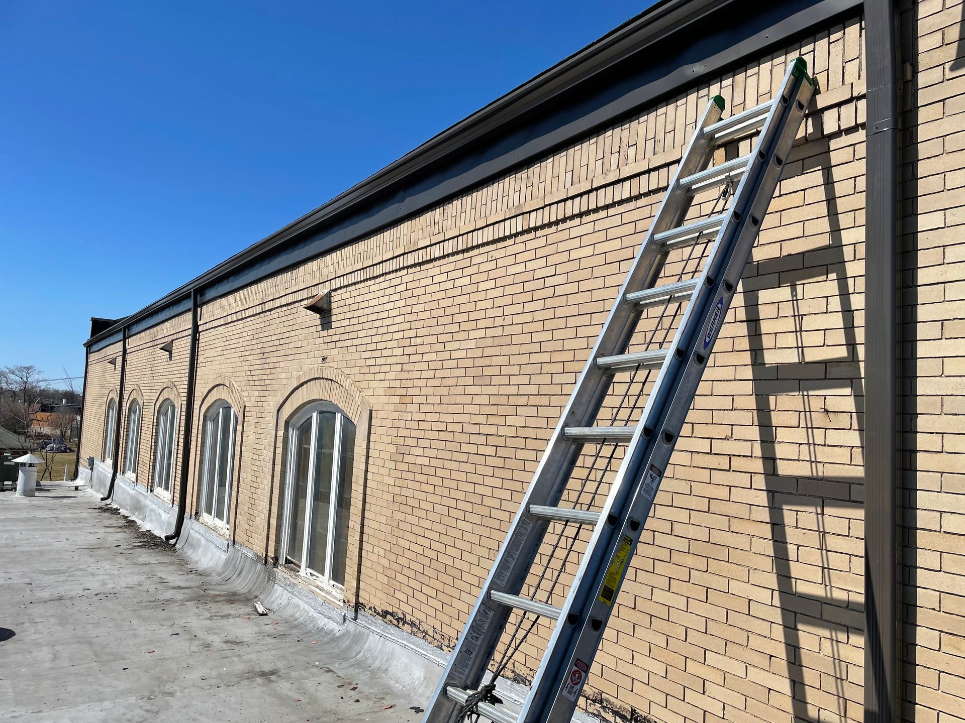 Ladder leaning against a light brick building with windows under a blue sky.