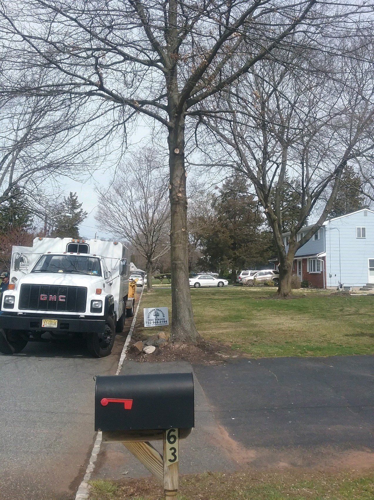 tree service