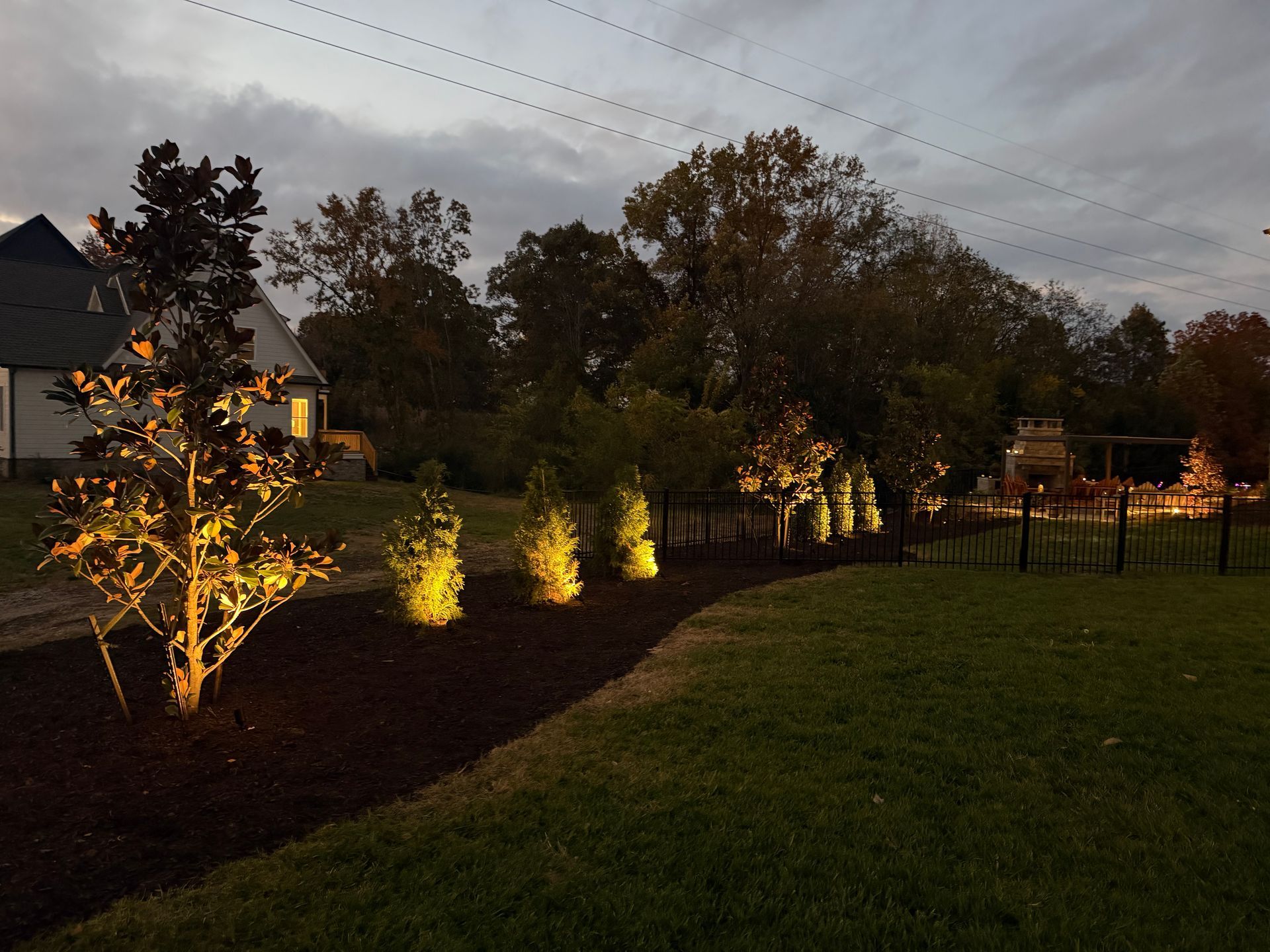 Nighttime landscape with illuminated trees and shrubs along a curved bed of mulch, lawn in foreground, overcast sky.