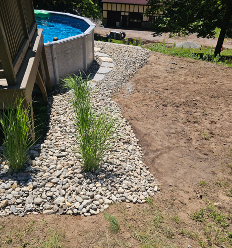 Backyard pool with a pebble border, ornamental grass, and a large bare dirt patch