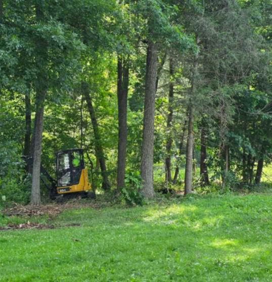 Yellow excavator among trees in a green wooded area