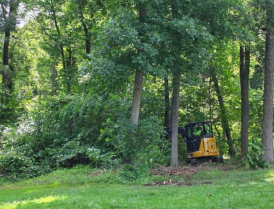 Yellow excavator parked in a wooded clearing beside a grassy lawn