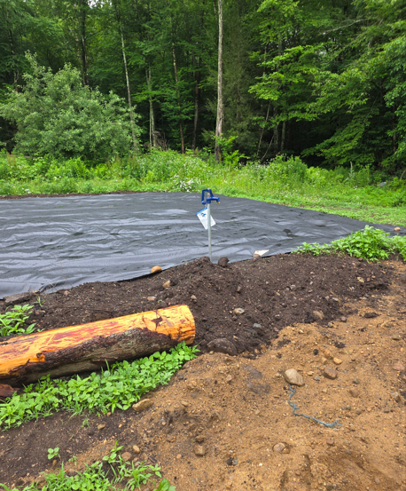 Black tarp over ground in a wooded clearing, with dirt and a log in the foreground.