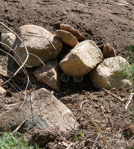 Pile of tan rocks stacked on dry soil, with twigs and sparse grass nearby.