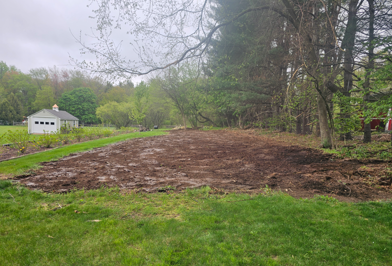 Cleared brown dirt patch in a grassy yard beside a white shed and trees on an overcast day